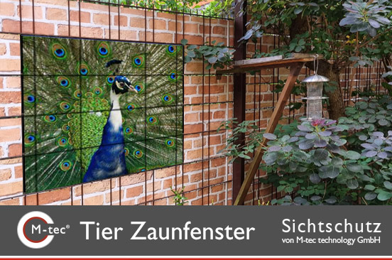 Zaunfenster mit Pfau-Motiv