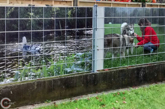 Sichtschutz Motiv Huskies für die Zaunanlage