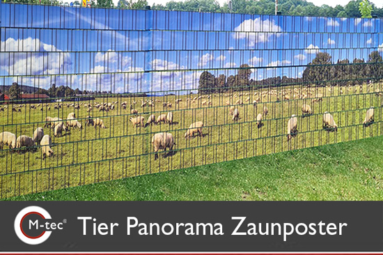 Tier Panorama Zaundruck