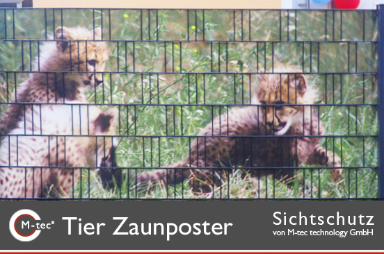 Zaundruck Leoparden Motiv