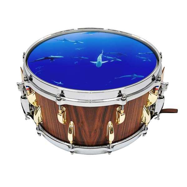 Bedrucktes Snare Drum Fell